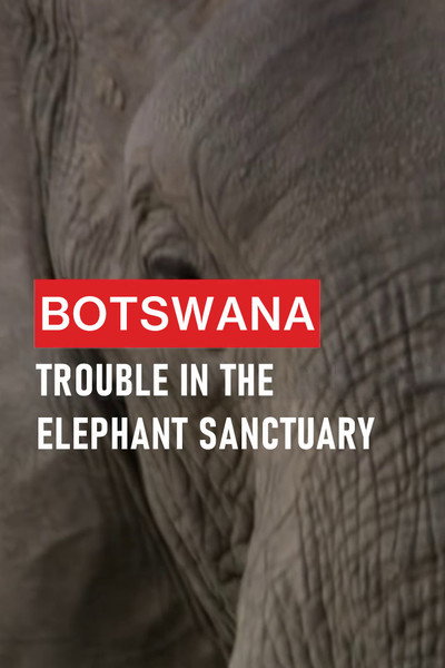 Póster de Botswana: Trouble in the Elephant Sanctuary