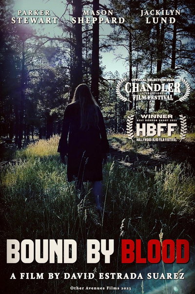 Póster de Bound by Blood