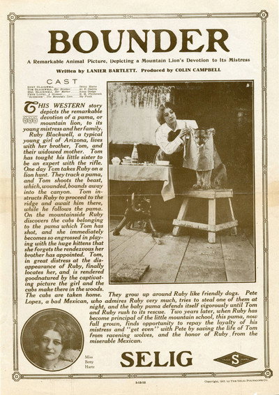 Póster de Bounder