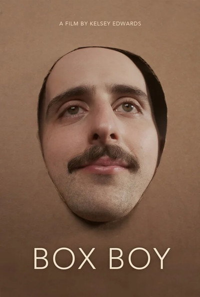 Póster de Box Boy