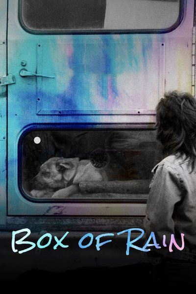 Póster de Box of Rain