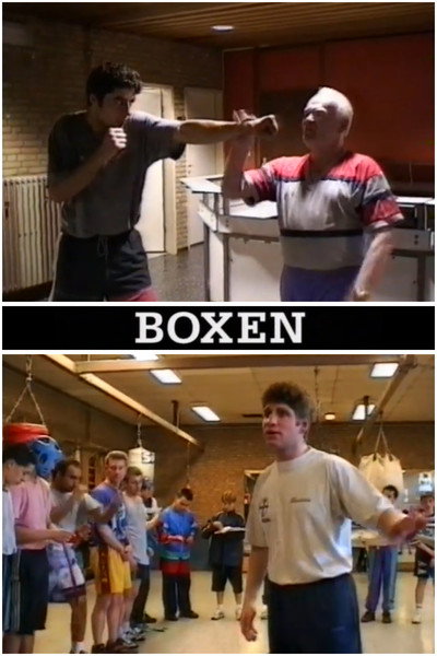 Póster de Boxing