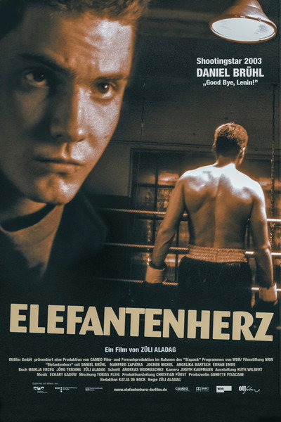 Póster de Boxing