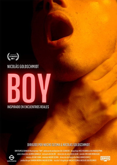 Póster de Boy