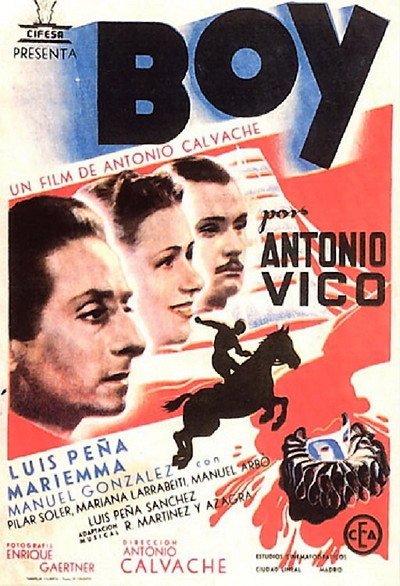 Póster de Boy