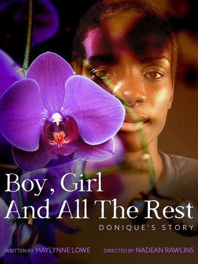 Póster de Boy, Girl and All the Rest