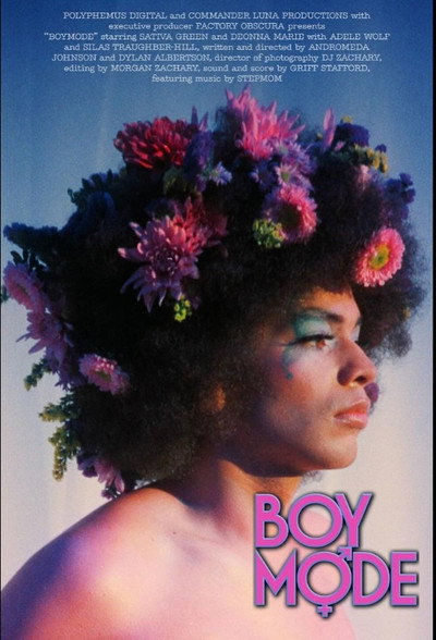 Póster de Boy Mode