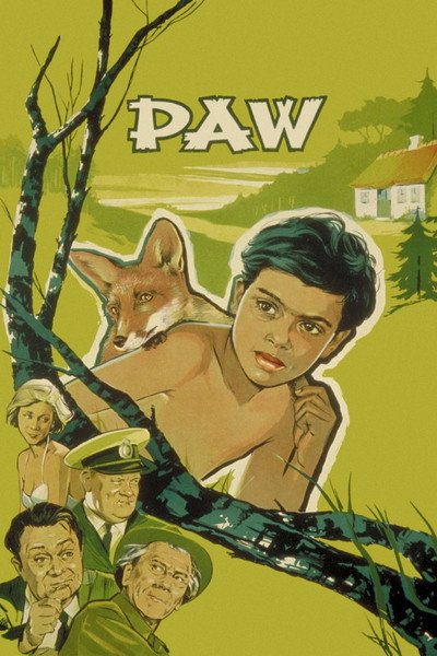 Póster de Boy of Two Worlds