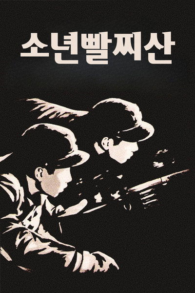 Póster de Boy Partisans