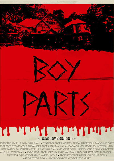 Póster de Boy Parts