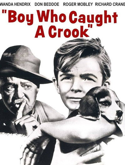 Póster de Boy Who Caught a Crook