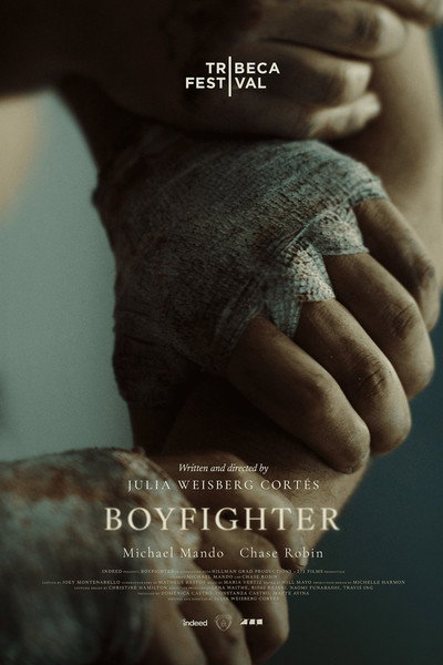Póster de Boyfighter