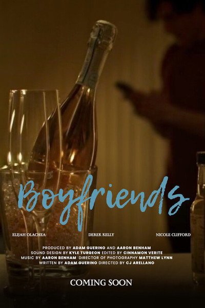Póster de Boyfriends