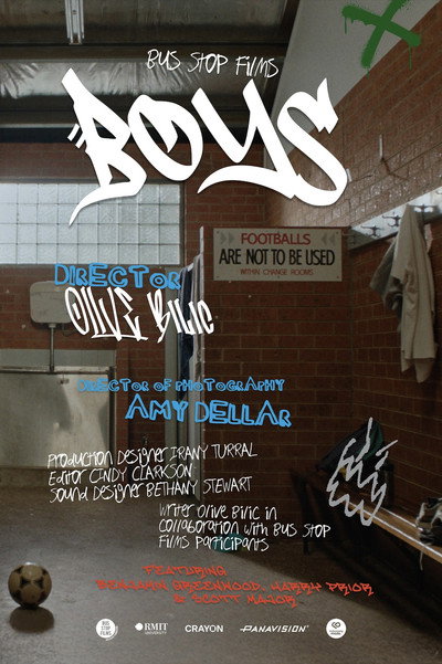 Póster de Boys