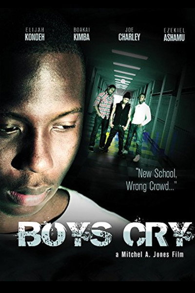 Póster de Boys Cry