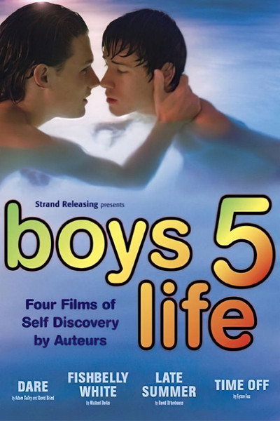 Póster de Boys Life 5