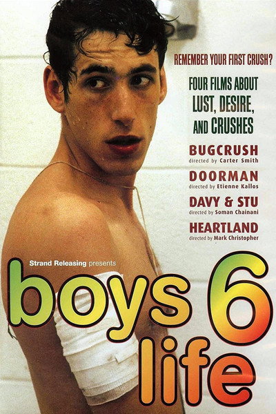 Póster de Boys Life 6