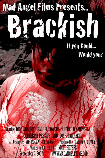 Póster de Brackish
