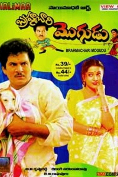 Póster de Brahmachari Mogudu