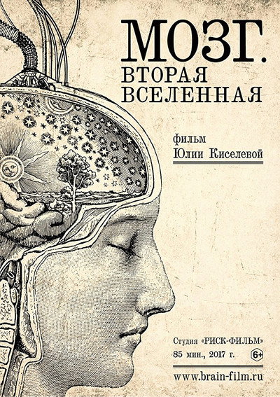 Póster de Brain. Second Universe