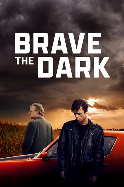 Póster de Brave the Dark