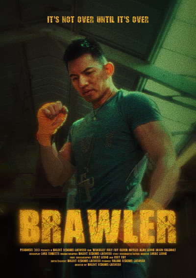 Póster de Brawler: Z