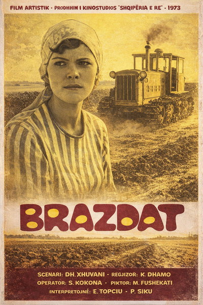Póster de Brazdat