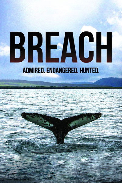 Póster de Breach