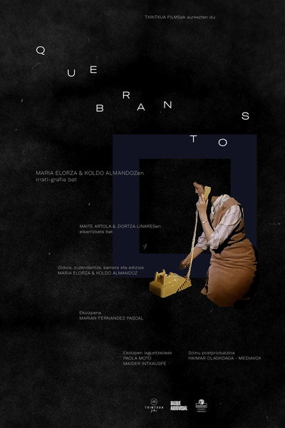 Póster de Breaches