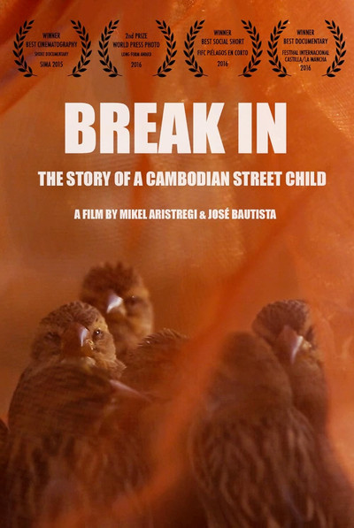 Póster de Break In