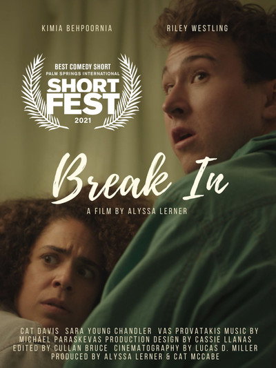 Póster de Break In