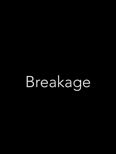 Póster de Breakage