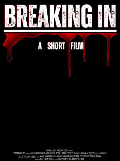 Póster de Breaking In