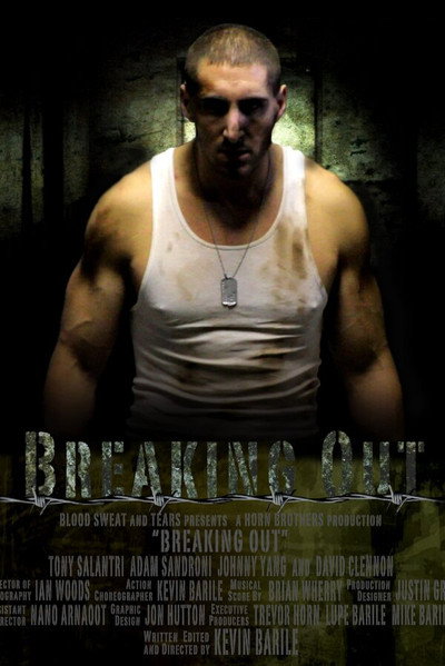 Póster de Breaking Out