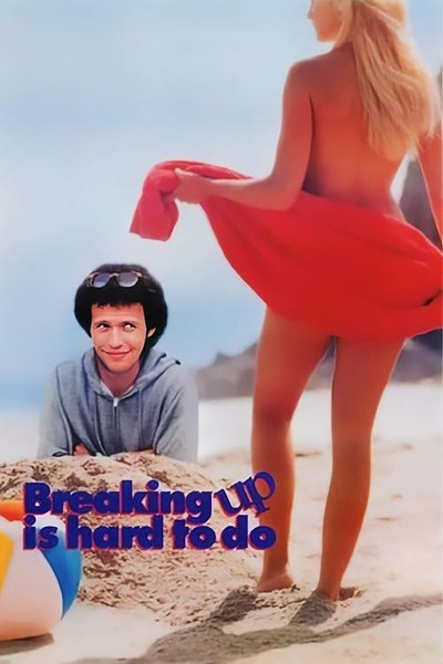 Póster de Breaking Up Is Hard to Do