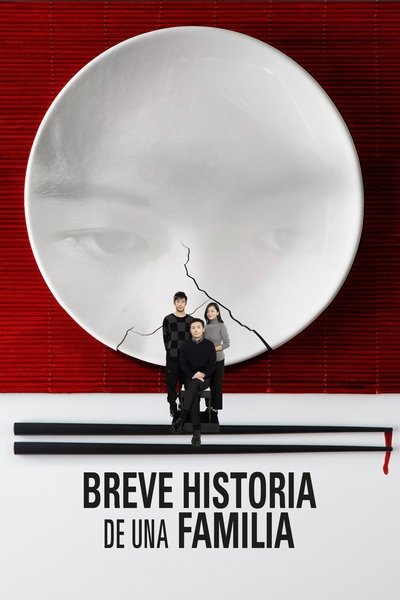 Póster de Breve historia de una familia