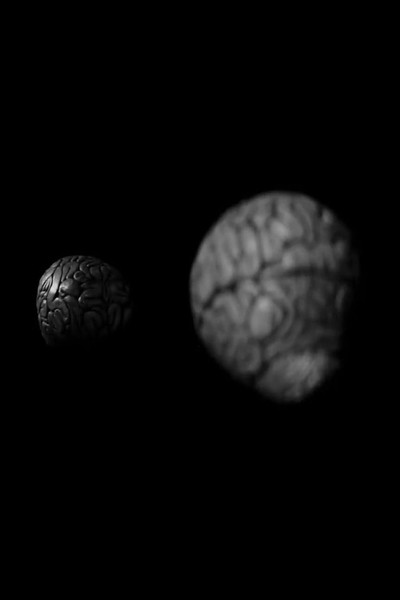 Póster de Brian; or, Brain