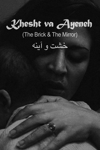 Póster de Brick and Mirror
