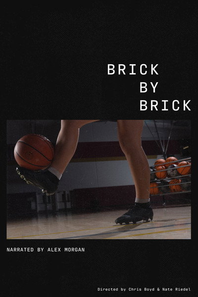Póster de Brick by Brick
