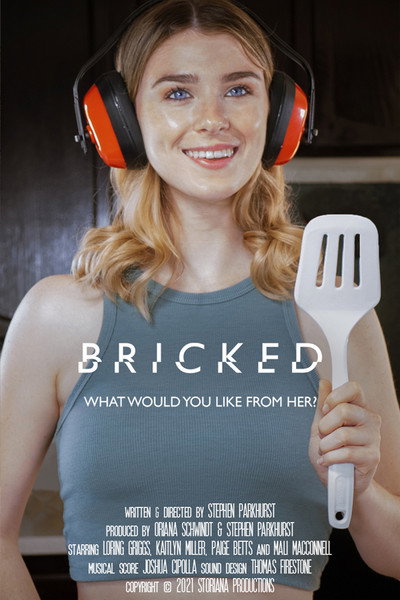 Póster de Bricked