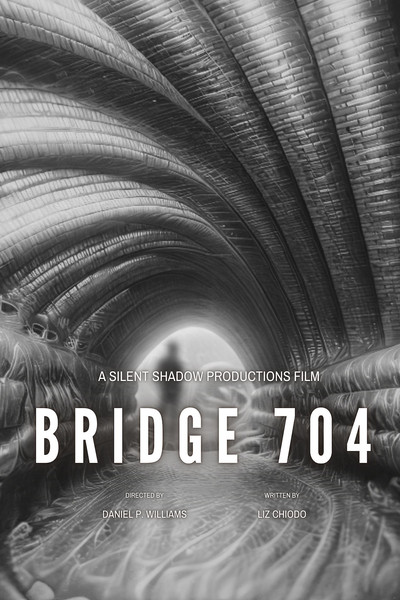 Póster de Bridge 704