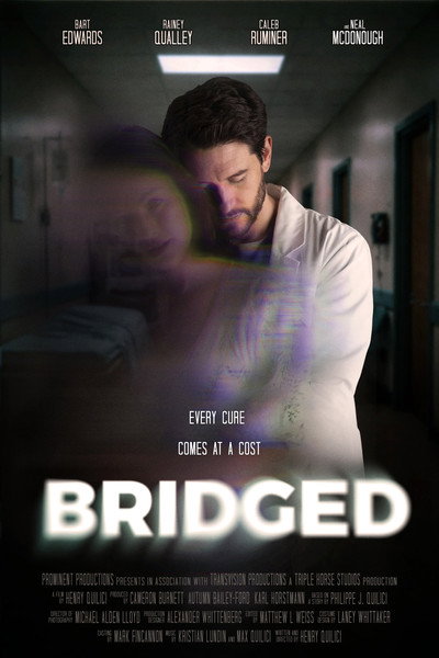 Póster de Bridged