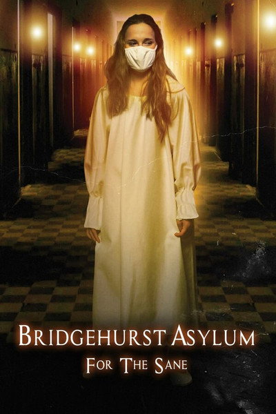 Póster de Bridgehurst Asylum for the Sane