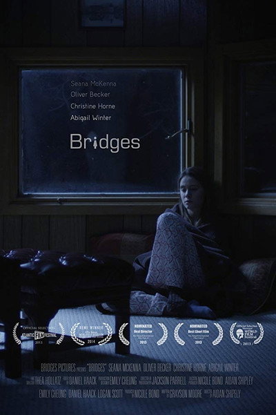 Póster de Bridges