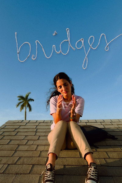 Póster de Bridges