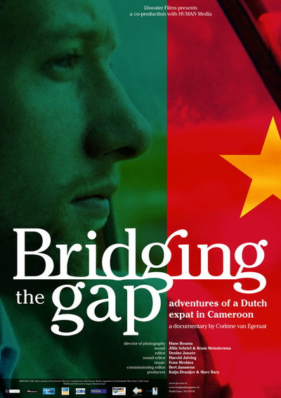 Póster de Bridging the Gap