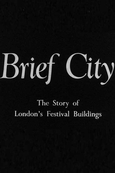 Póster de Brief City