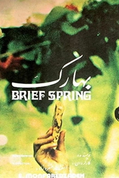 Póster de Brief Spring