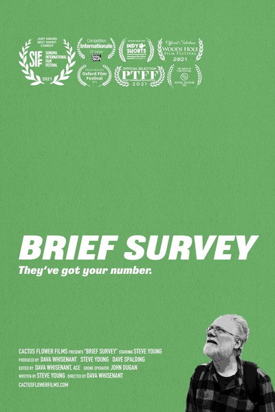Póster de Brief Survey