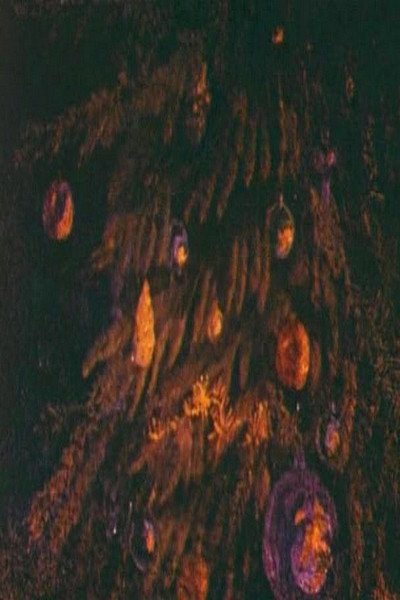 Póster de Brillo